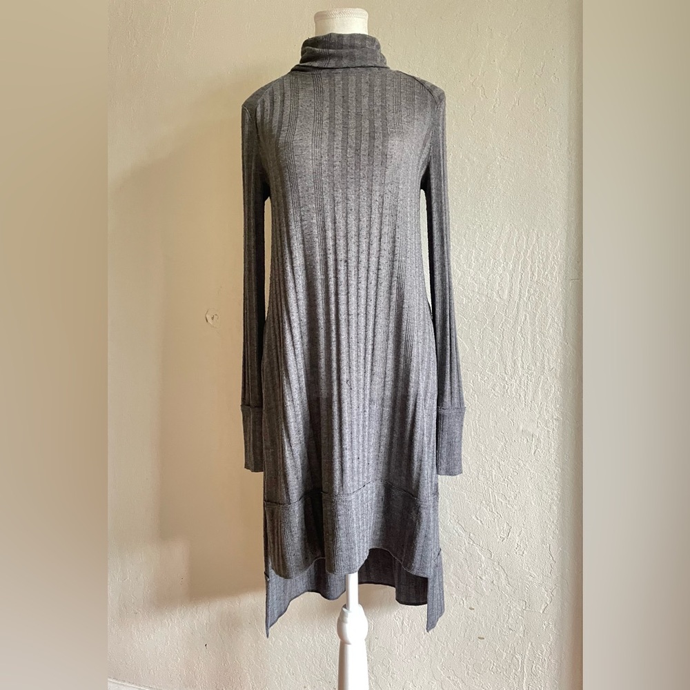 Free people long top